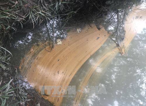 Bình Phước thu gom, xử lý ô nhiễm môi trường sau sự cố rò rỉ dầu